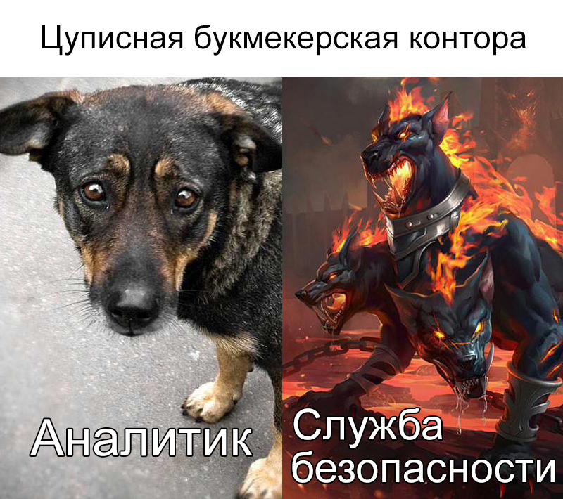 Цуписная букмекерская контора.jpg