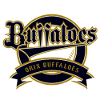 Orix Buffaloes