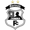 logo Самора