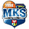 MKS Dabrowa Gornicza