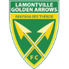 Golden Arrows