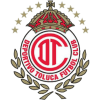 logo Толука (ж)